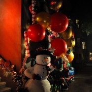 Serendipity – Teil 1 | Tag 50: Ein obdachloser Bohemien namens Spange | Nr. 21 2012 12 29 20.43.34