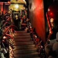 Serendipity – Teil 1 | Tag 50: Ein obdachloser Bohemien namens Spange | Nr. 19 2012 12 29 20.43.42