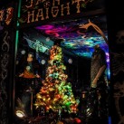 Serendipity – Teil 1 | Tag 50: Ein obdachloser Bohemien namens Spange | Nr. 44 2012 12 29 21.40.04