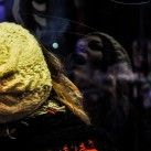 Serendipity – Teil 1 | Tag 50: Ein obdachloser Bohemien namens Spange | Nr. 46 2012 12 29 21.40.23