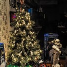 Serendipity – Teil 1 | Tag 50: Ein obdachloser Bohemien namens Spange | Nr. 34 2012 12 29 23.25.44