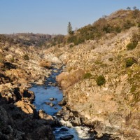 Bücher | Serendipity | Nr. 235 Tag 56: Goldrausch