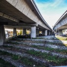 Die »hängenden Gärten« neben dem Guadalupe River Trail