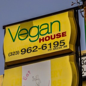 Serendipity – Teil 2 | Tag 61: Walk of Fame: Die Geschichte des Hollywood Boulevard | Nr. 3 2013 01 09 11.40.33