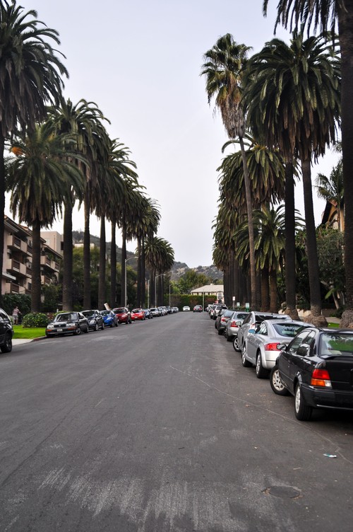 Serendipity – Teil 2 | Tag 61: Walk of Fame: Die Geschichte des Hollywood Boulevard | Nr. 50 2013 01 09 15.25.05