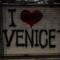 Bücher | Serendipity | Nr. 242 Tag 63: Kevin Michael und der Humor des Universums