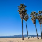 Serendipity – Teil 2 | Tag 64: Das große Treffen, Venice und eine Nacht in Downtown | Nr. 22 2013 01 12 13.15.49