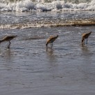 Serendipity – Teil 2 | Tag 64: Das große Treffen, Venice und eine Nacht in Downtown | Nr. 25 2013 01 12 13.20.30