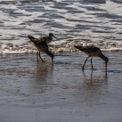 Serendipity – Teil 2 | Tag 64: Das große Treffen, Venice und eine Nacht in Downtown | Nr. 26 2013 01 12 13.20.34