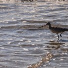Serendipity – Teil 2 | Tag 64: Das große Treffen, Venice und eine Nacht in Downtown | Nr. 27 2013 01 12 13.20.43