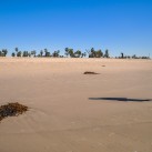 Serendipity – Teil 2 | Tag 64: Das große Treffen, Venice und eine Nacht in Downtown | Nr. 28 2013 01 12 13.21.15