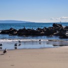 Serendipity – Teil 2 | Tag 64: Das große Treffen, Venice und eine Nacht in Downtown | Nr. 31 2013 01 12 13.25.30