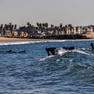 Serendipity – Teil 2 | Tag 64: Das große Treffen, Venice und eine Nacht in Downtown | Nr. 34 2013 01 12 13.26.05