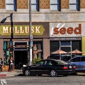 Serendipity – Teil 2 | Tag 64: Das große Treffen, Venice und eine Nacht in Downtown | Nr. 39 2013 01 12 13.59.18