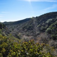 Serendipity – Teil 2 | Tag 65: Malibus Outback, Santa Monicas Pier und die Nacht von Glendale | Nr. 17 2013 01 13 12.35.11