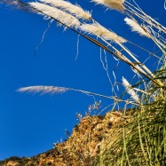 Serendipity – Teil 2 | Tag 65: Malibus Outback, Santa Monicas Pier und die Nacht von Glendale | Nr. 19 2013 01 13 12.35.33