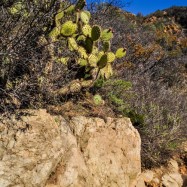 Serendipity – Teil 2 | Tag 65: Malibus Outback, Santa Monicas Pier und die Nacht von Glendale | Nr. 22 2013 01 13 12.38.07