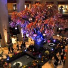 Serendipity – Teil 2 | Tag 68: Shake the Glitter Off Your Clothes … It’s Vegas, Baby! Oder: Vom Venetian bis zur Fremont Street | Nr. 54 2013 01 16 17.41.37