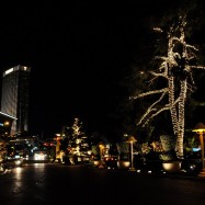 Serendipity – Teil 2 | Tag 68: Shake the Glitter Off Your Clothes … It’s Vegas, Baby! Oder: Vom Venetian bis zur Fremont Street | Nr. 82 2013 01 16 18.04.46