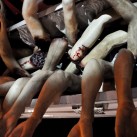 Eli Roth’s Goretorium