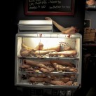 Eli Roth’s Goretorium