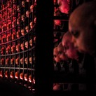 Eli Roth’s Goretorium