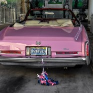 Serendipity – Teil 2 | Tag 73: Das famose Hostel Cat | Nr. 8 2013 01 21 16.15.13