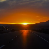 Bücher | Serendipity | Nr. 253 Tag 74: Leaving Las Vegas … immer der Sonne entgegen!