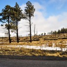 Serendipity – Teil 2 | Tag 79: Der Grand Canyon – das größte Gemälde der Welt | Nr. 6 2013 01 27 09.16.23