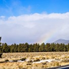 Serendipity – Teil 2 | Tag 79: Der Grand Canyon – das größte Gemälde der Welt | Nr. 9 2013 01 27 09.19.32