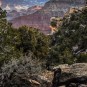 Serendipity – Teil 2 | Tag 79: Der Grand Canyon – das größte Gemälde der Welt | Nr. 112 2013 01 27 12.24.14