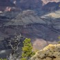 Serendipity – Teil 2 | Tag 79: Der Grand Canyon – das größte Gemälde der Welt | Nr. 128 2013 01 27 12.30.03