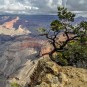 Serendipity – Teil 2 | Tag 79: Der Grand Canyon – das größte Gemälde der Welt | Nr. 130 2013 01 27 12.31.04