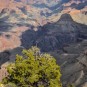 Serendipity – Teil 2 | Tag 79: Der Grand Canyon – das größte Gemälde der Welt | Nr. 131 2013 01 27 12.31.34
