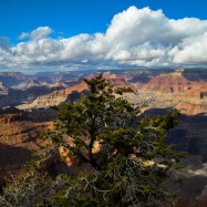Serendipity – Teil 2 | Tag 79: Der Grand Canyon – das größte Gemälde der Welt | Nr. 201 2013 01 27 13.07.25