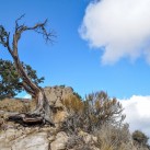 Serendipity – Teil 2 | Tag 79: Der Grand Canyon – das größte Gemälde der Welt | Nr. 226 2013 01 27 14.38.24