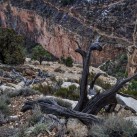 Serendipity – Teil 2 | Tag 79: Der Grand Canyon – das größte Gemälde der Welt | Nr. 228 2013 01 27 14.42.41