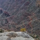Serendipity – Teil 2 | Tag 79: Der Grand Canyon – das größte Gemälde der Welt | Nr. 229 Bright Angel Trail