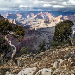 Serendipity – Teil 2 | Tag 79: Der Grand Canyon – das größte Gemälde der Welt | Nr. 274 2013 01 27 15.42.16