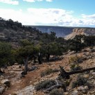 Serendipity – Teil 2 | Tag 79: Der Grand Canyon – das größte Gemälde der Welt | Nr. 278 2013 01 27 15.49.39