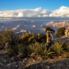 Serendipity – Teil 2 | Tag 79: Der Grand Canyon – das größte Gemälde der Welt | Nr. 342 2013 01 27 17.02.34