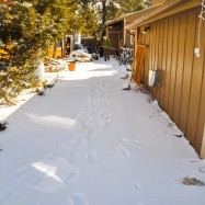 Serendipity – Teil 2 | Tag 80 – Teil 1: Die Route 66 und die Geisterstadt der Cowboys und Hippies | Nr. 5 2013 01 28 11.11.22