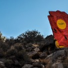 Serendipity – Teil 2 | Tag 80 – Teil 1: Die Route 66 und die Geisterstadt der Cowboys und Hippies | Nr. 197 Chloride Murals