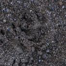 Serendipity – Teil 2 | Tag 80 – Teil 1: Die Route 66 und die Geisterstadt der Cowboys und Hippies | Nr. 202 Kojotenspuren?!