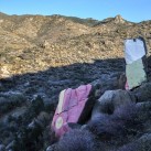 Serendipity – Teil 2 | Tag 80 – Teil 1: Die Route 66 und die Geisterstadt der Cowboys und Hippies | Nr. 214 Chloride Murals