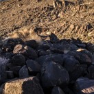 Serendipity – Teil 2 | Tag 80 – Teil 1: Die Route 66 und die Geisterstadt der Cowboys und Hippies | Nr. 216 2013 01 28 17.15.09