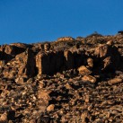 Serendipity – Teil 2 | Tag 80 – Teil 1: Die Route 66 und die Geisterstadt der Cowboys und Hippies | Nr. 219 2013 01 28 17.15.32