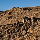 Serendipity – Teil 2 | Tag 80 – Teil 1: Die Route 66 und die Geisterstadt der Cowboys und Hippies | Nr. 221 2013 01 28 17.15.57