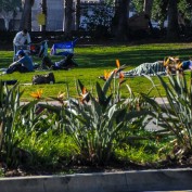 Serendipity – Teil 2 | Tag 82: Fuck You, Chris! | Nr. 14 2013 01 30 09.10.25