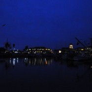 Serendipity – Teil 2 | Tag 85: Der mit den Seelöwen tanzt | Nr. 2 2013 02 02 06.31.03